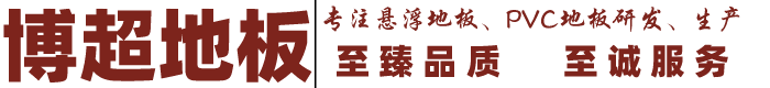 Ĭ˾